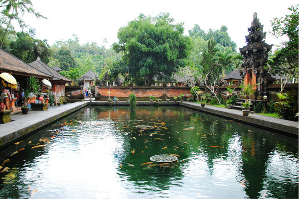 Kintamani Organic Farm & Tour-金塔马尼必去景点