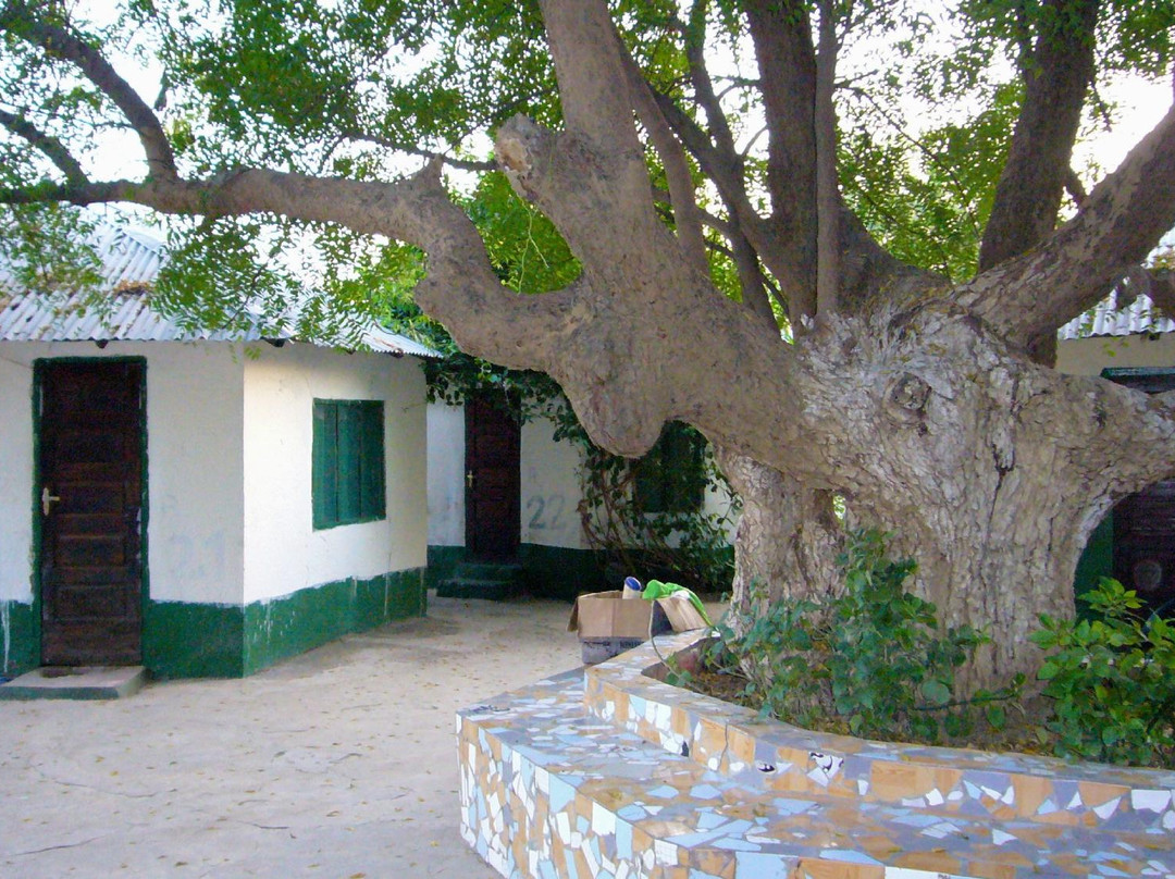 Baobolong Camp