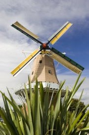 De Molen, Windmill景点图片