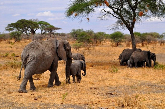 Full Package Adventures-阿鲁沙必去景点