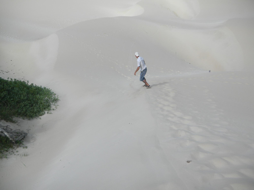Sandboarding Jeffreys Bay - Wacky Wipeouts-杰佛瑞湾必去景点