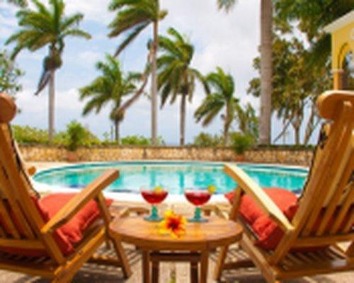 Birds Eye View主图