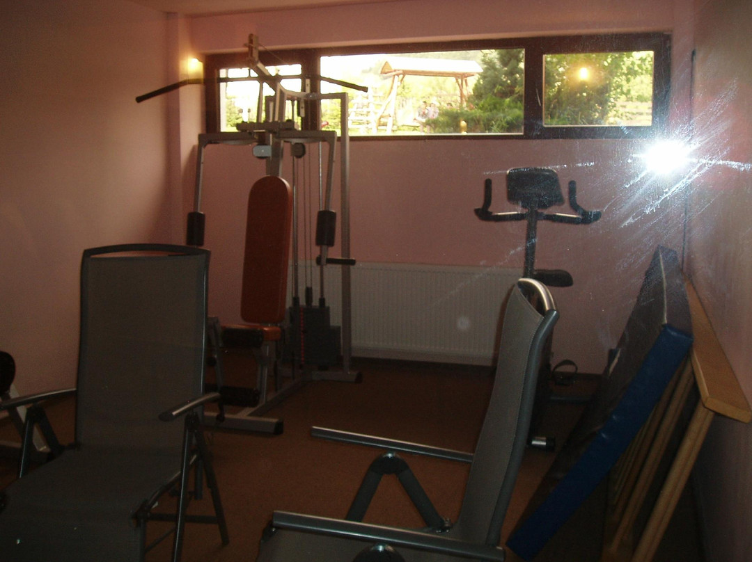 Casa Muntelui Guesthouse主图