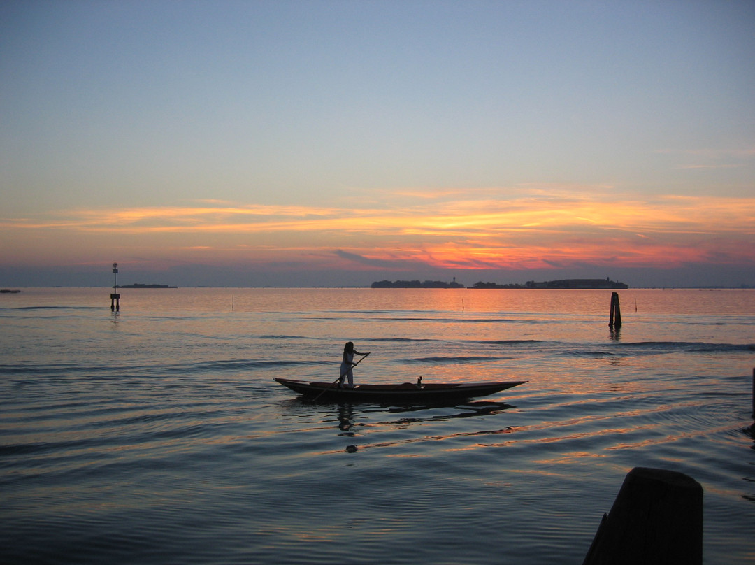 Limosa Guide Naturaliste