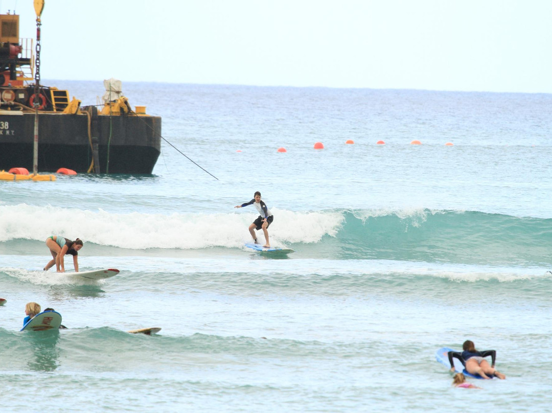 Big Wave Dave Surf & Coffee-火奴鲁鲁必去景点