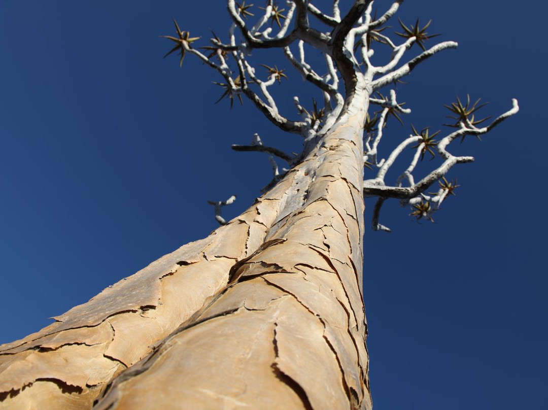 Fish River Canyon-Ais-Ais必去景点