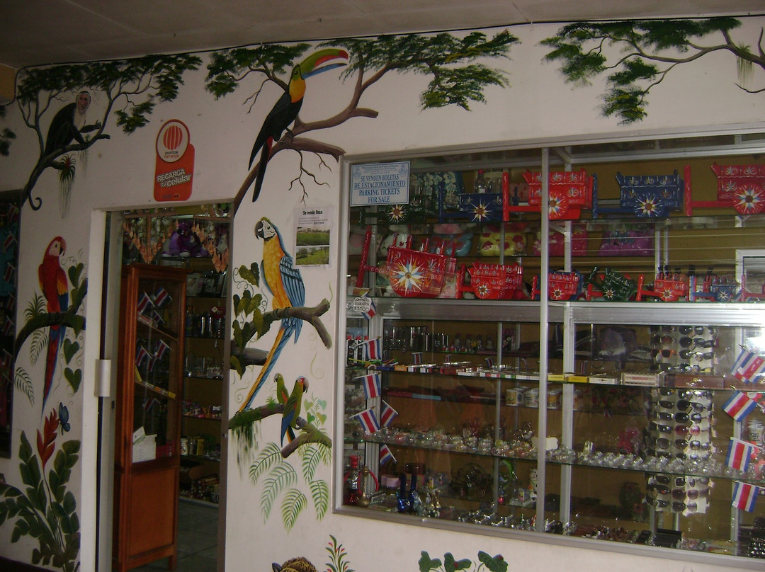 Hotel Chirripo主图