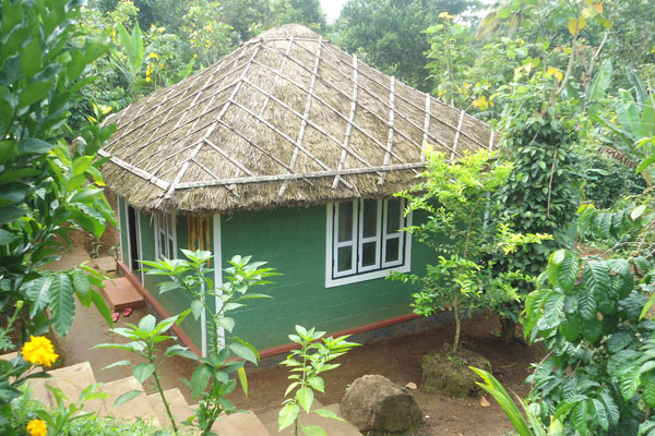 Harithavanam Farm House-官方