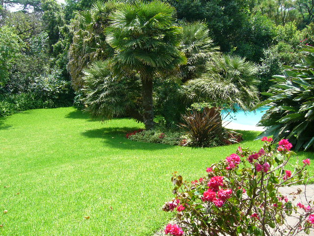 La Bougain Villa主图