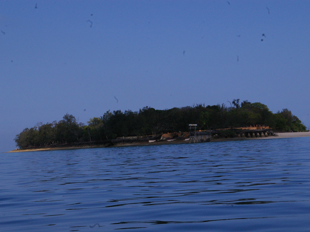 Prison Island - Changuu Private Island景点图片