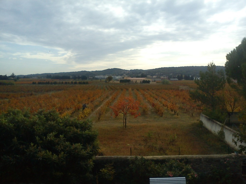 Maison d´hôtes Le Mas des Vignes主图