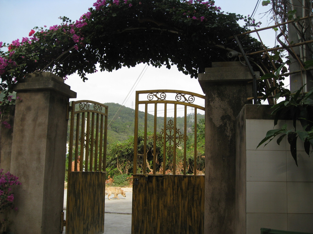 厦门来住kokomo客栈（厦门大学曾厝垵店）主图