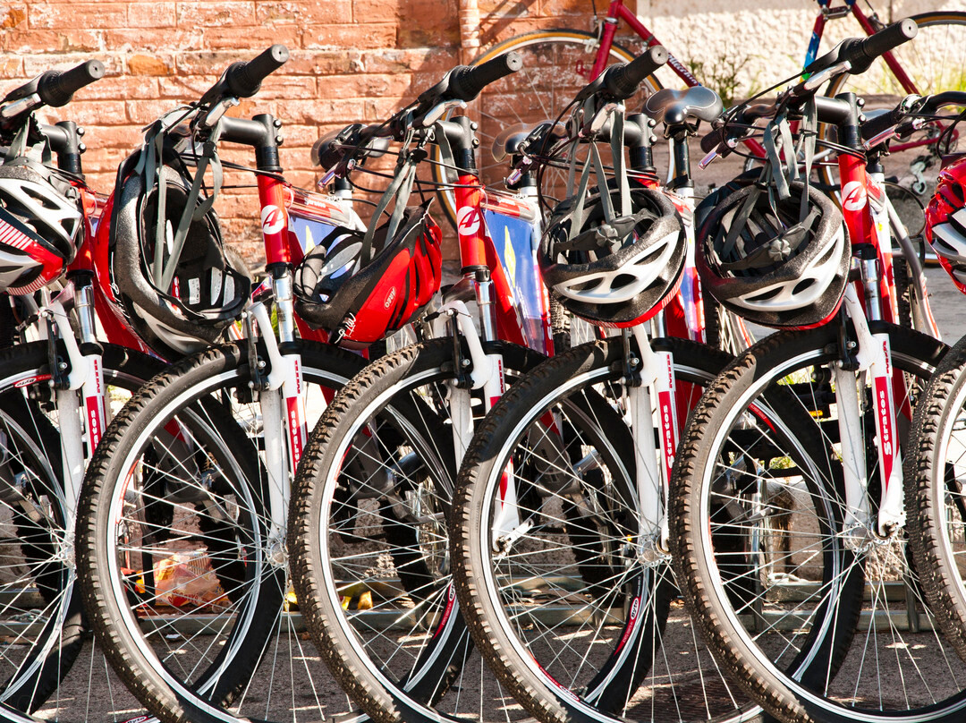 Velo Service - Bike Rental & Tours-巴里必去景点