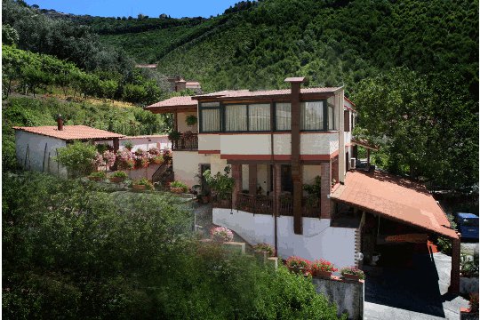 Pensione Gli Ulivi-官方