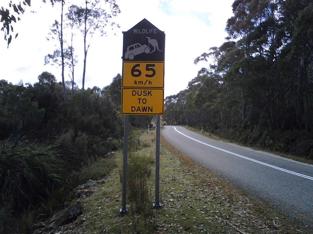 South Hobart-霍巴特必去景点