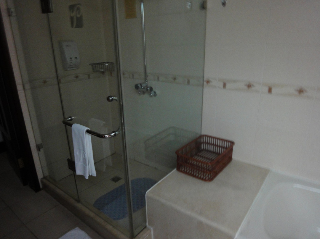 盘龙山庄大酒店主图