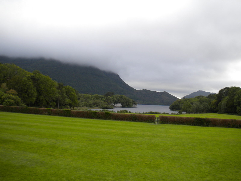 Muckross Traditional Farms景点图片