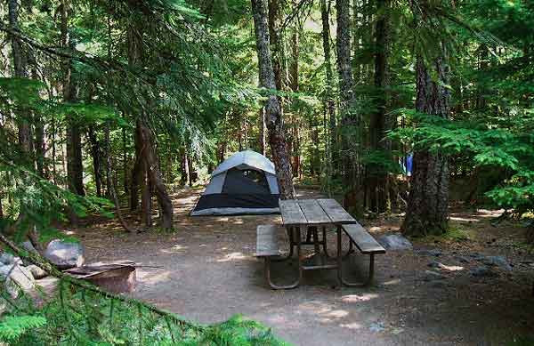 Cougar Rock Campground