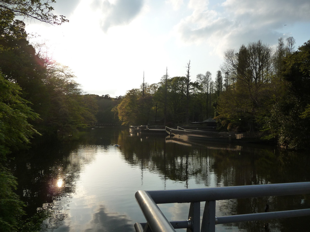 Inokashira Onshi Park-武藏野市必去景点