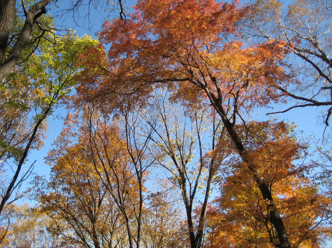 横头山-哈尔滨市必去景点