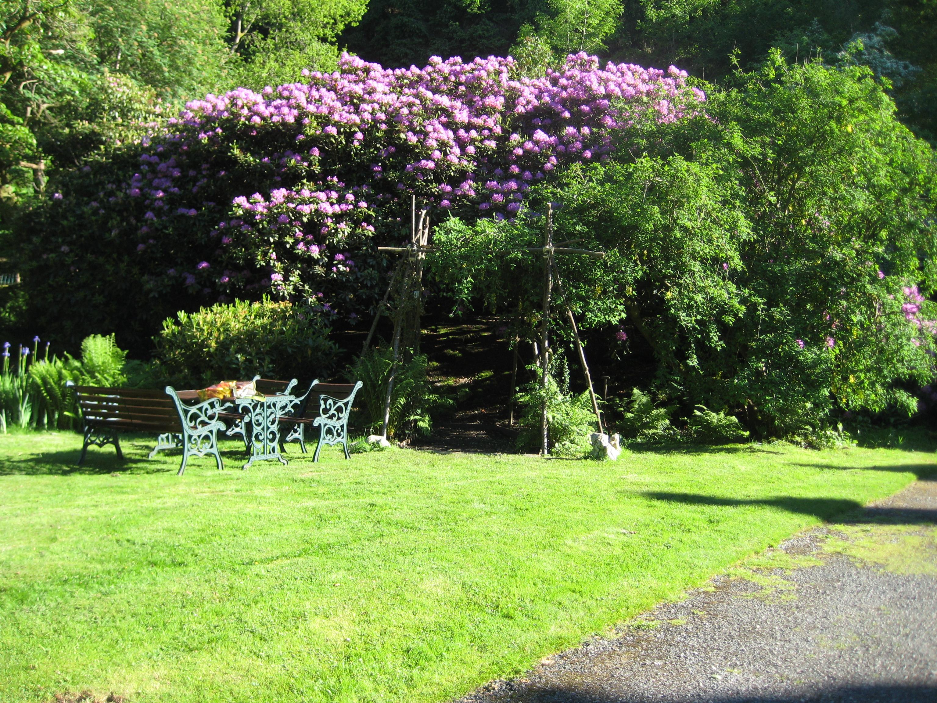 Plas Derwen Country House-酒店景观