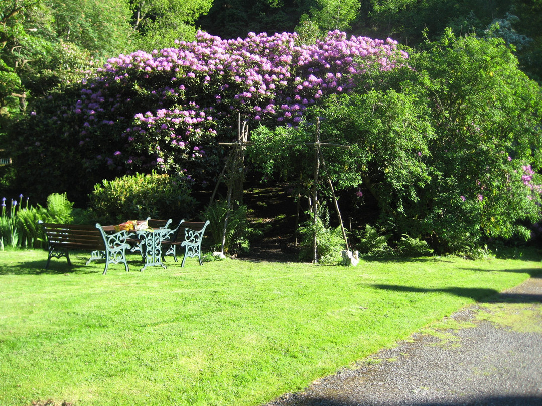 Plas Derwen Country House主图