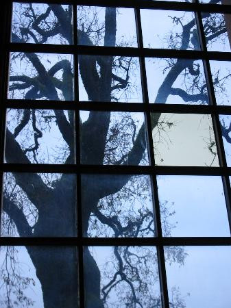 Clos Pegase Winery-卡利斯托加必去景点