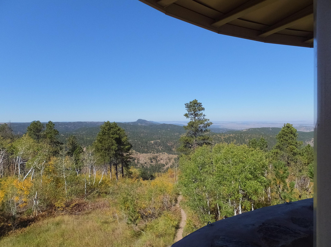 Mt Roosevelt Monument-戴德伍德必去景点