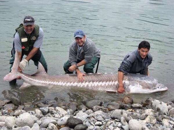Clear Creek Fishing Adventures-北温哥华必去景点