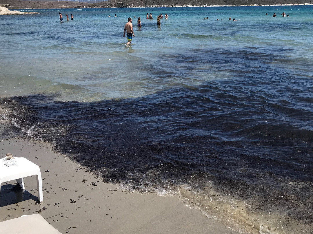 Zio Beach Club景点图片