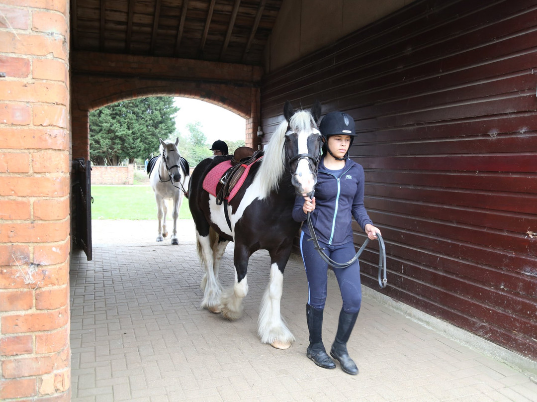 Ride High Equestrian Centre景点图片