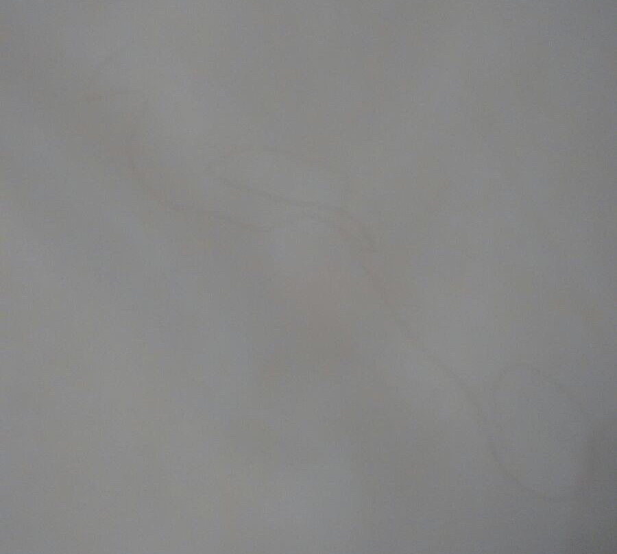 弗郎通朗希诺斯酒店