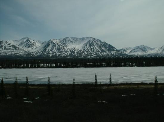 Grand Denali Tour景点图片