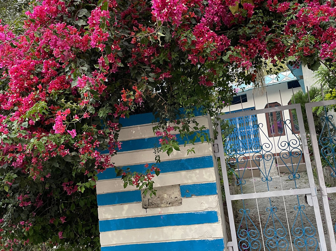 Golden Healing Journeys主图