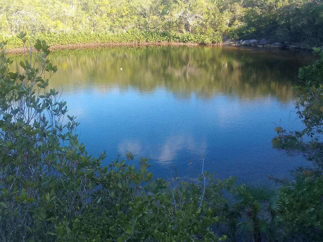 Cottage Pond-North Caicos必去景点