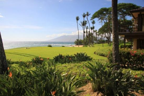 Ulua Beach-维雷亚必去景点