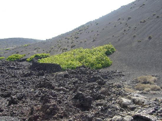 Timanfaya National Park-兰萨罗特必去景点