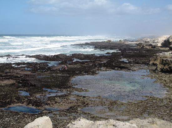 De Hoop Nature Reserve Whale Trail-De Hoop Nature Reserve必去景点