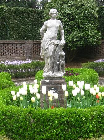 Elizabethan Gardens景点图片