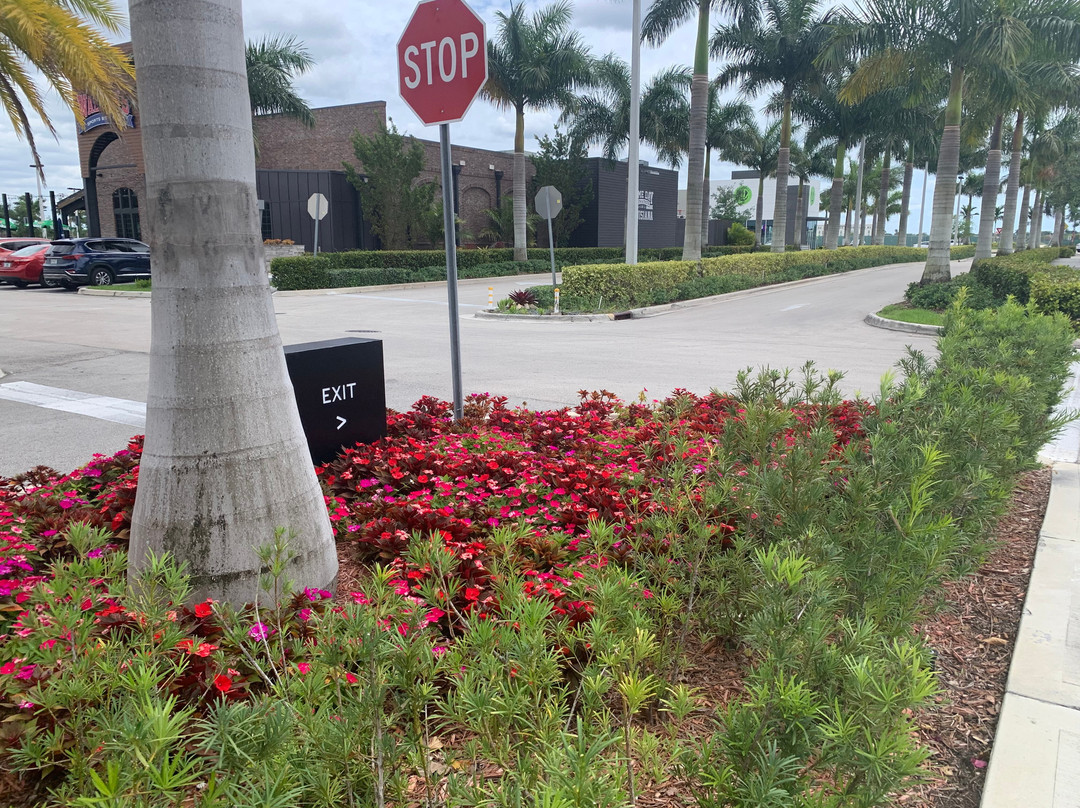 TownePlace Suites Miami Kendall West主图