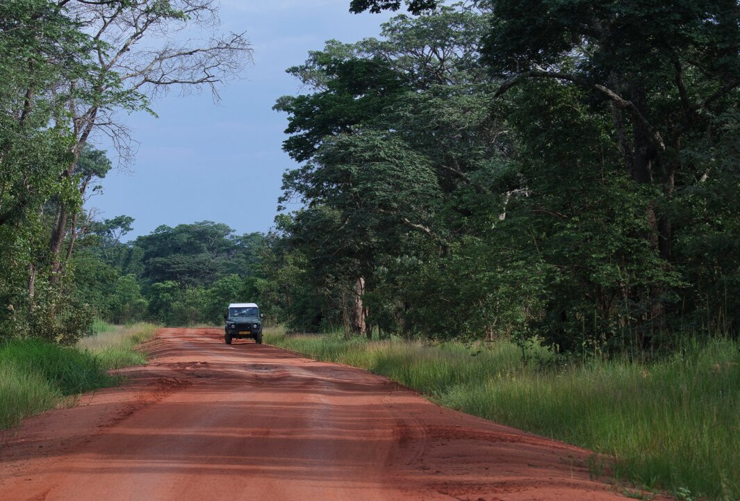 Liz B birding Safari-Iringa必去景点