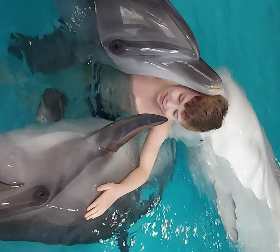 Morskaya Zvezda Dolphinarium景点图片