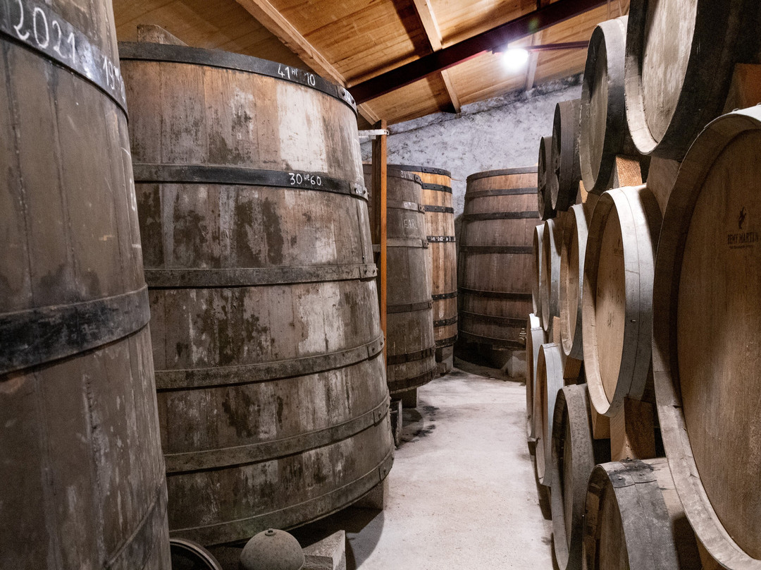 Domaine des Claires景点图片