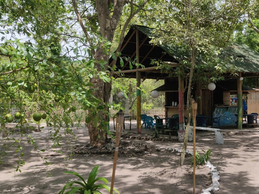 Cartagena District餐馆和美食-Sabor nativo café museo