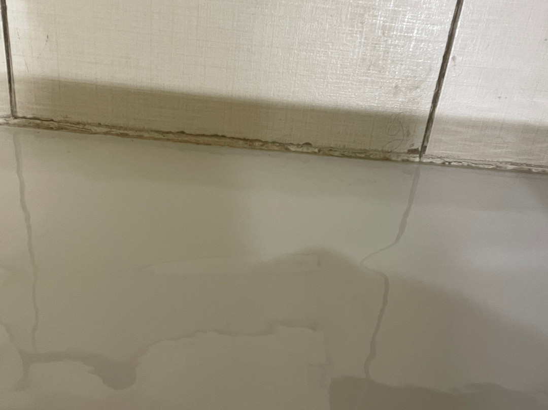 Fairfield by Marriott Inn & Suites Alamogordo主图