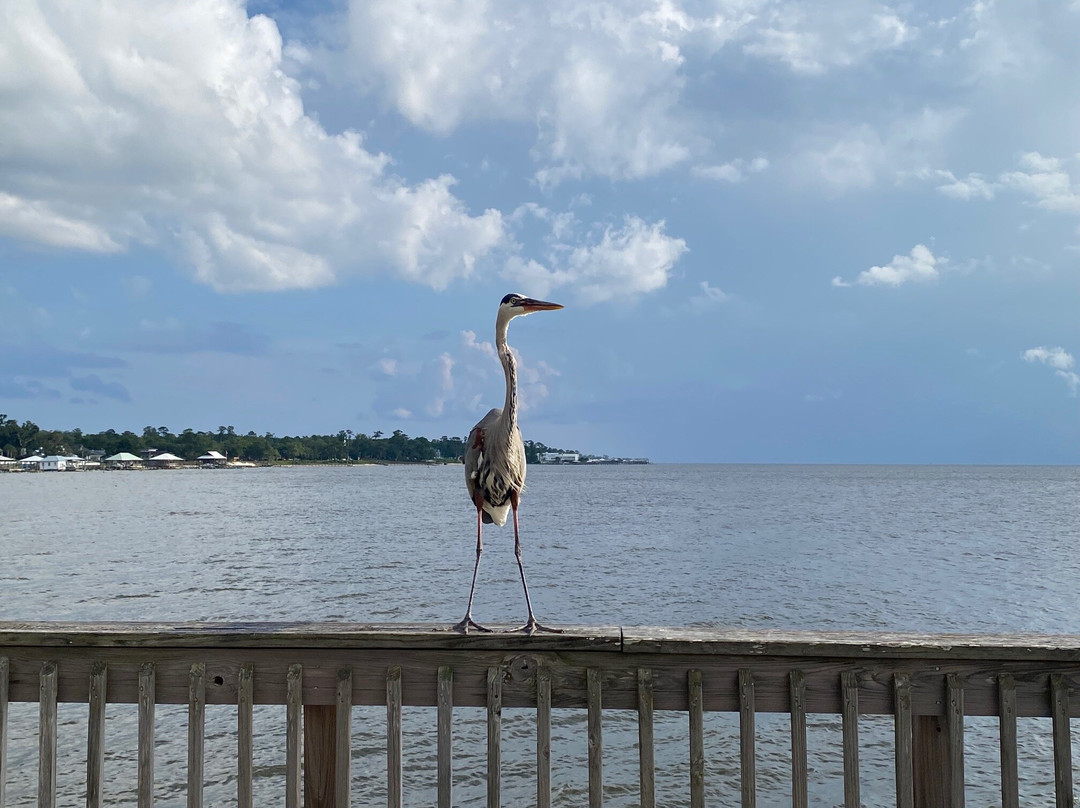 Fairhope Municipal Pier-费尔霍普必去景点