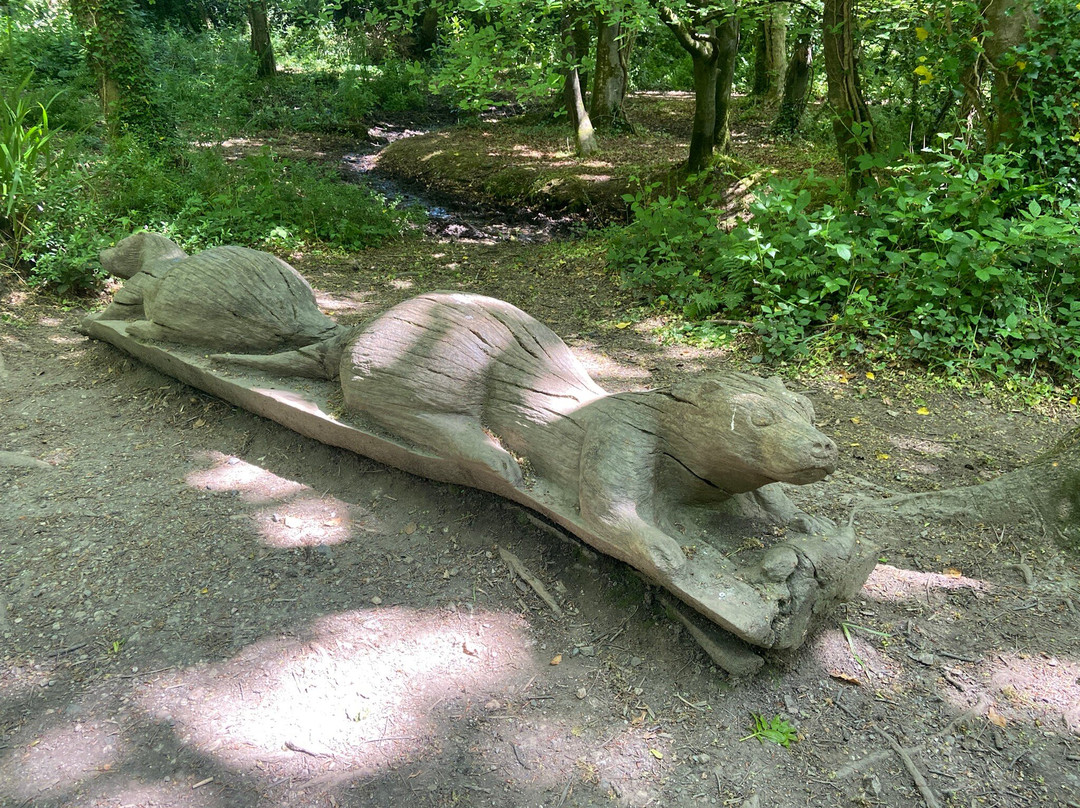 Tehidy Country Park-Camborne必去景点