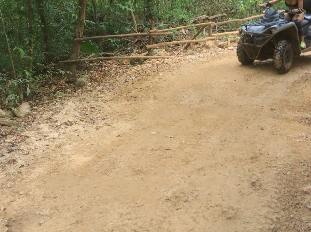 ATV Jungle & Cenote Tour-从莫雷洛斯港必去景点