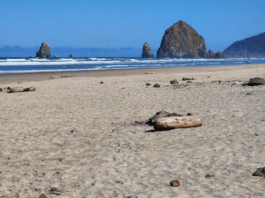 威赛德旅馆主图