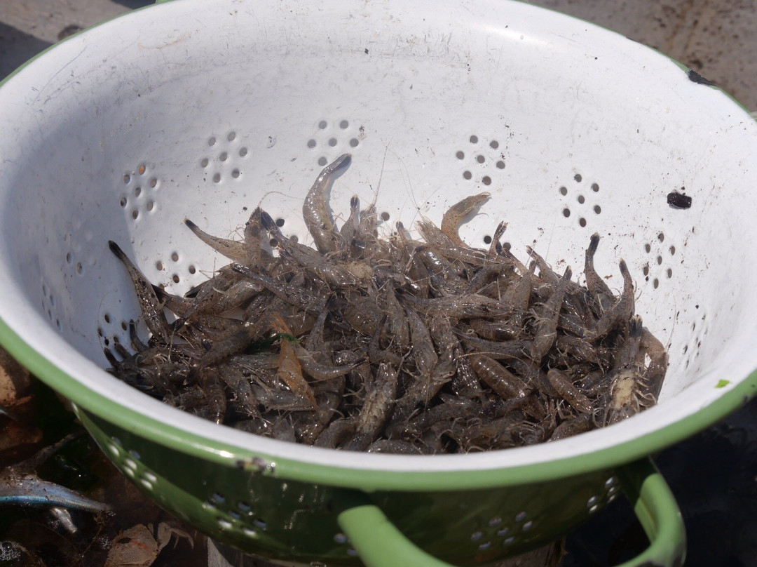 Jan Rotgans-Den Oever必去景点